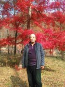 马振民
