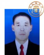 韩平