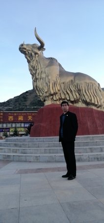 陈永平