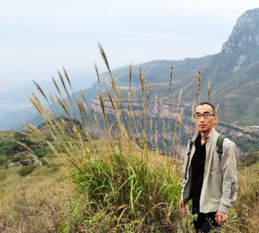 张少阳