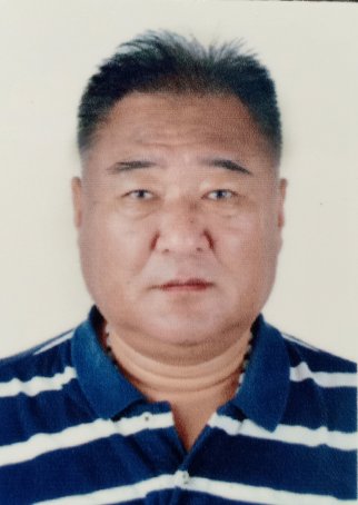 武伟
